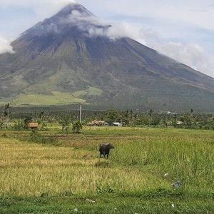 Meet your Posher, Jaypee